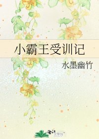 小霸王受训记